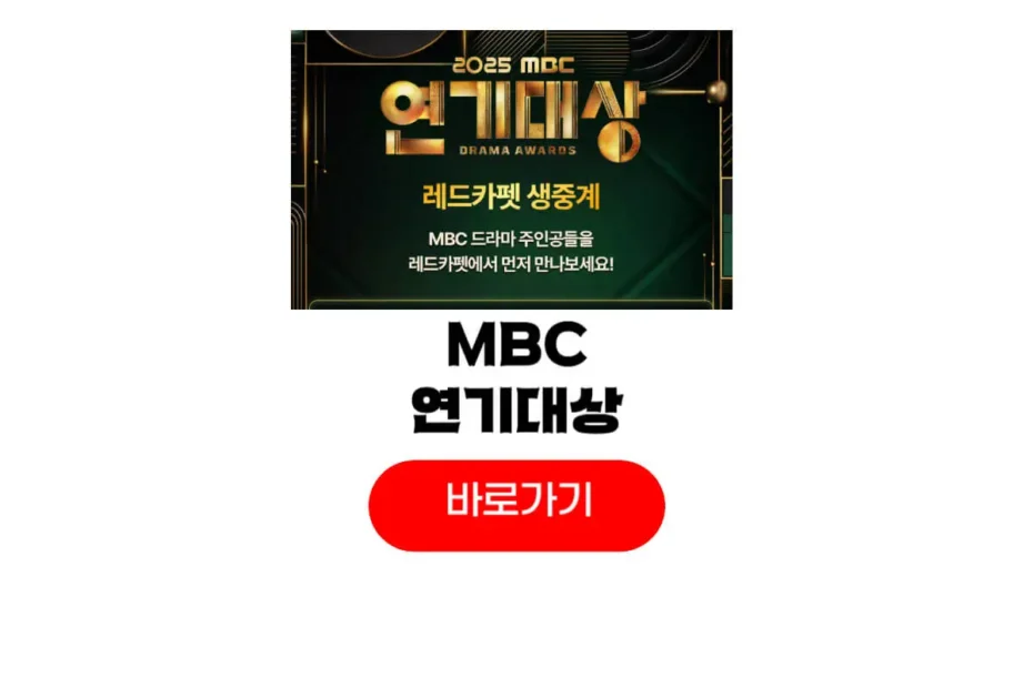 2025 MBC 연기대상