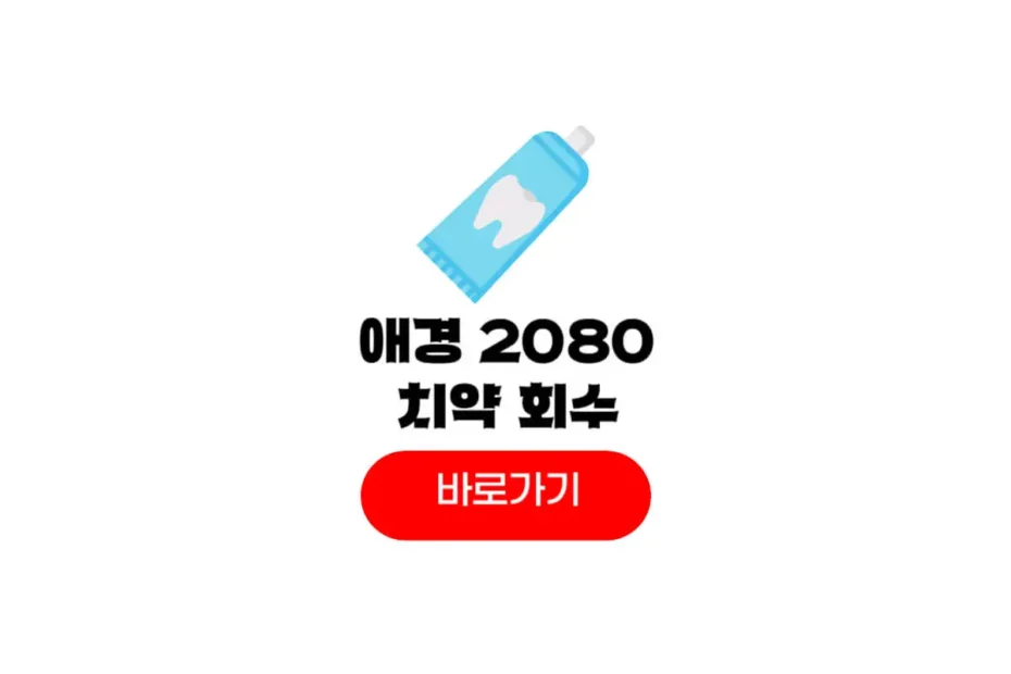 애경 2080 치약