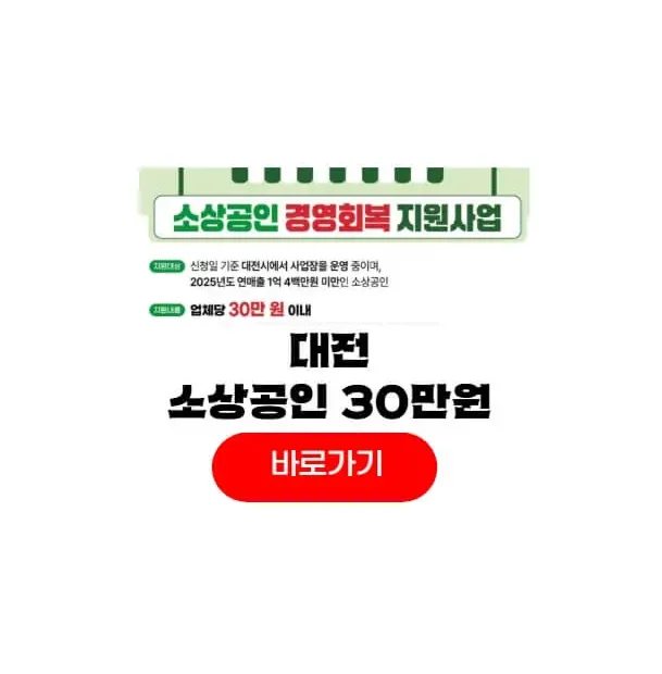 대전 소상공인 30만원
