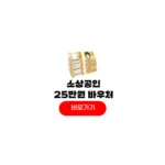 2026 소상공인 25만원 바우처 신청대상 지급일정 2026 소상공인 25만원