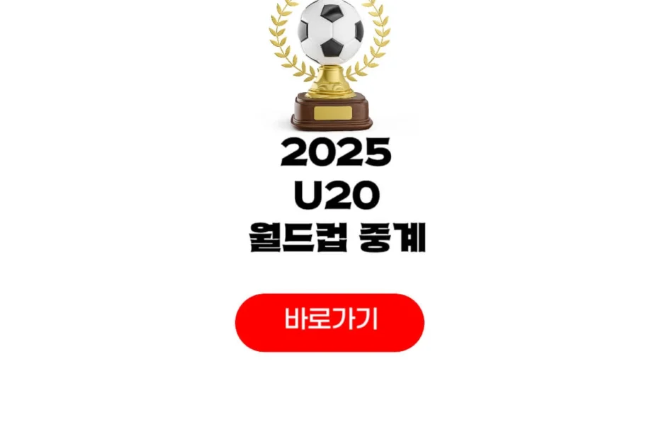 U20 월드컵 중계