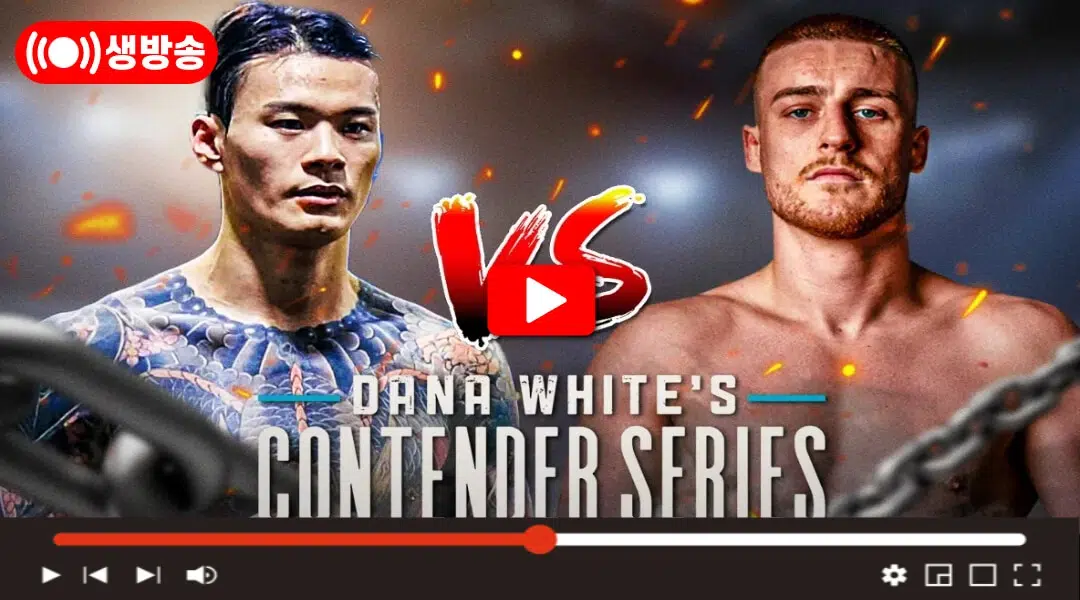 황인수 ufc 컨텐더 시리즈