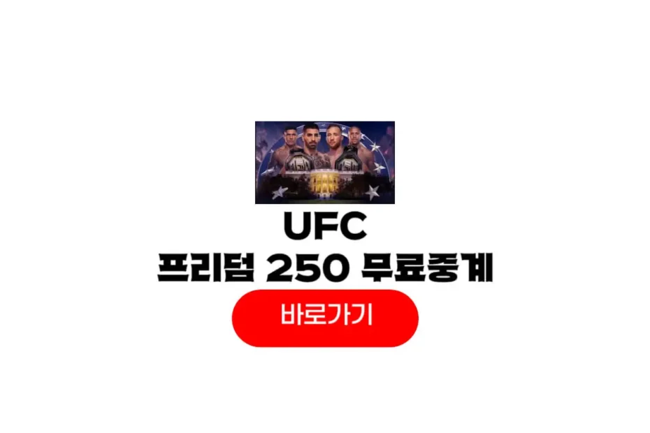 UFC FREEDOM 250