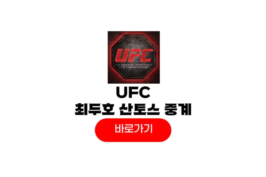 UFC 최두호 산토스