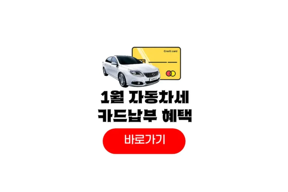 자동차세 카드