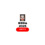 2025 유브이 쇼 in 유브이 텔 티켓팅 예매 정보 2025 유브이 쇼