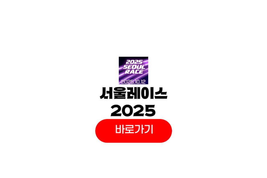 서울레이스 2025 접수
