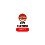 대전 민생지원금