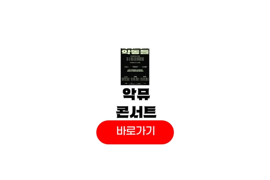 악뮤 콘서트
