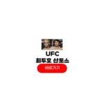 UFC 최두호 산토스