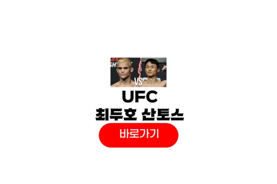 UFC 최두호 산토스