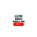 불꽃야구 독립리그