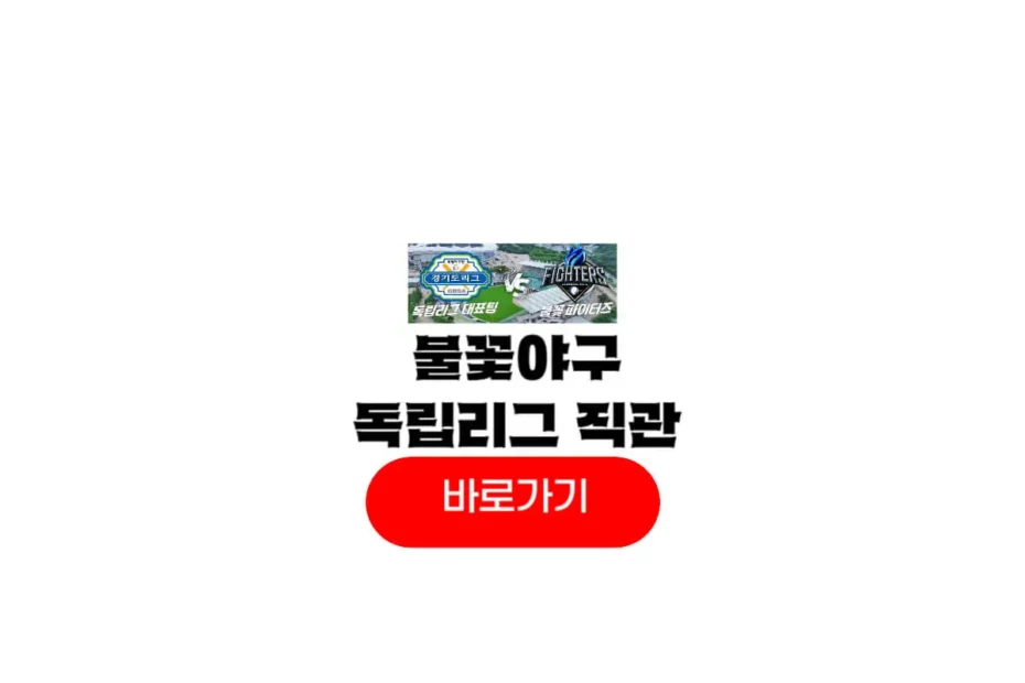 불꽃야구 독립리그