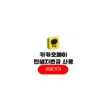 카카오페이 민생지원금