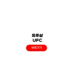 UFC 유주상 산토스