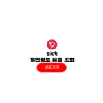 skt 개인정보 유출