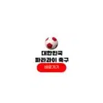 2025년 10월 14일 대한민국 파라과이