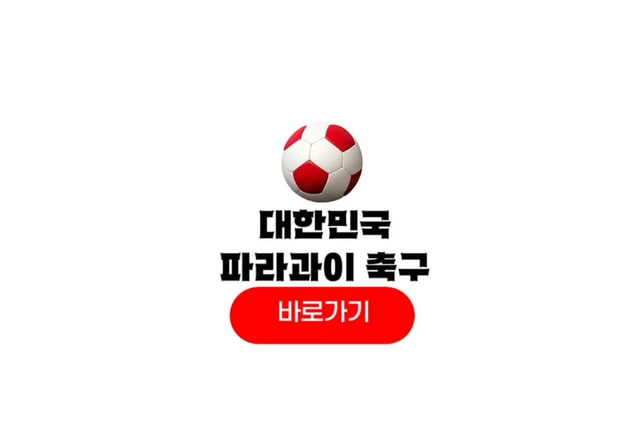 2025년 10월 14일 대한민국 파라과이