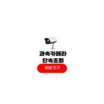 과속카메라 단속조회