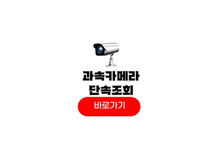 과속카메라 단속조회