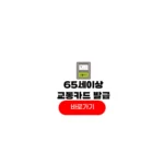 65세 이상 교통카드