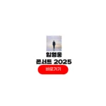 임영웅 콘서트 2025