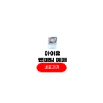 아이유 팬미팅 티켓팅