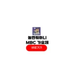 놀면뭐하니 mbc 서울가요제