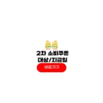 2차 소비쿠폰 지급일