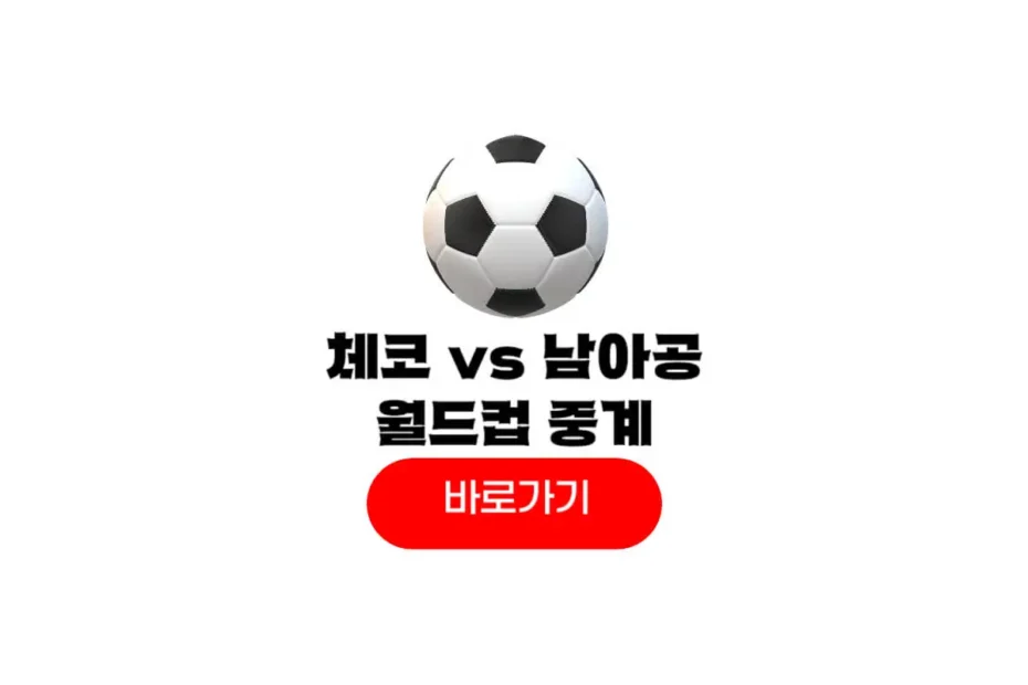 2026년 06월 19일 체코 남아프리카 공화국