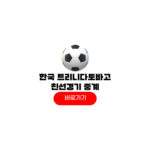 2026년 05월 31일 대한민국 트리니다드토바고 중계 시간 평가전 일정 축구 친선경기 2026년 05월 31일 대한민국 트리니다드토바고