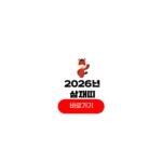2026년 삼재띠