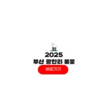 2025 부산 광안리 불꽃축제