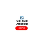 9월 a매치