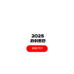 2025 라이트런 in seoul 접수 방법 일정 굿즈 서울 마라톤 코스 2025 라이트런