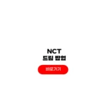 NCT DREAM 팝업