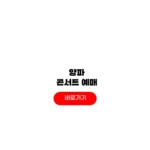 2025 양파 콘서트
