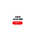 2025 아이브 콘서트
