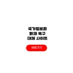 국가정보원 화재 복구 정부24 대체사이트 국가정보원 화재