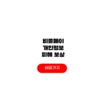 비플페이 개인정보