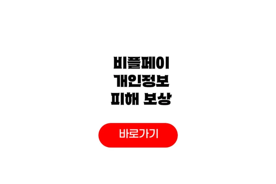 비플페이 개인정보