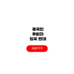 중국인 무비자