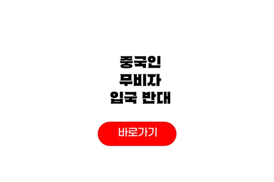 중국인 무비자