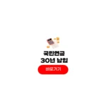 국민연금 30년