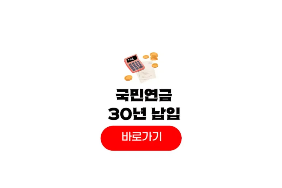 국민연금 30년