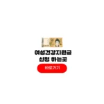 2025 여성건강지원금 신청방법 대상 지원금액 2025 여성건강지원금