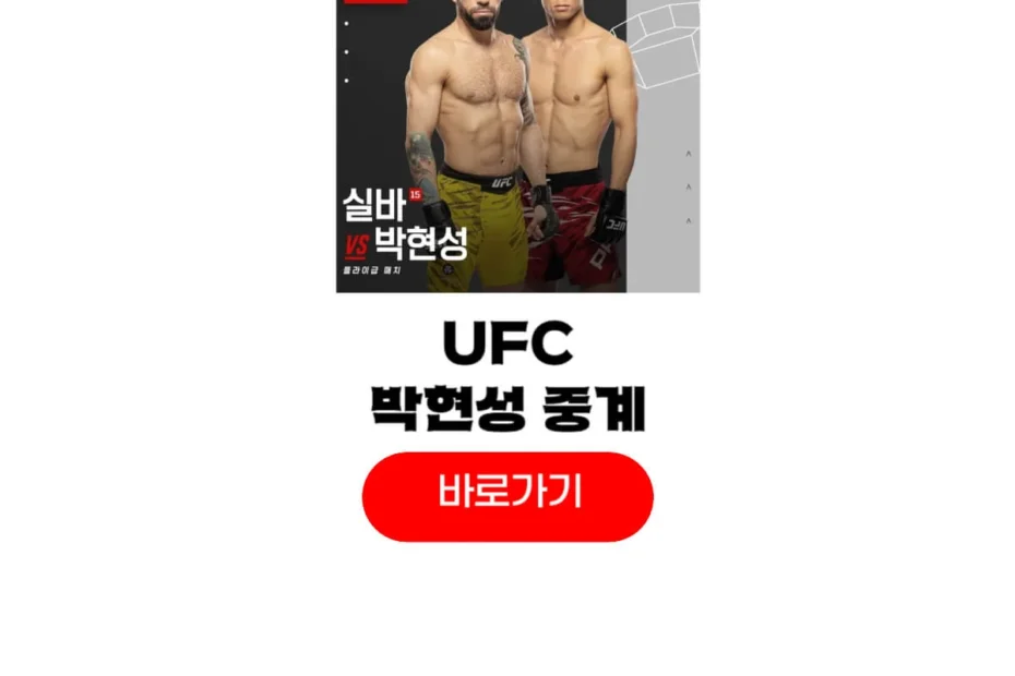 UFC 박현성 브루노 실바 중계