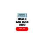 지디 12월 콘서트