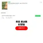 우즈 콘서트 2025