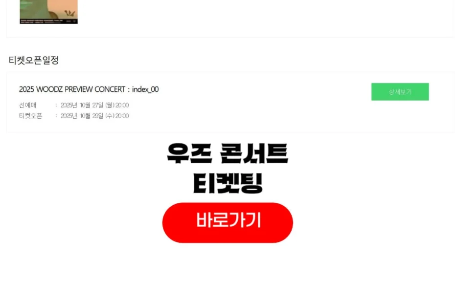 우즈 콘서트 2025